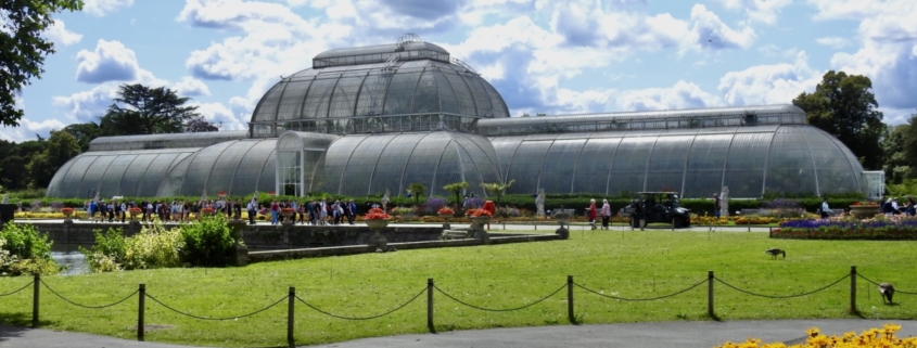 Het palmenhuis in Kew Gardens